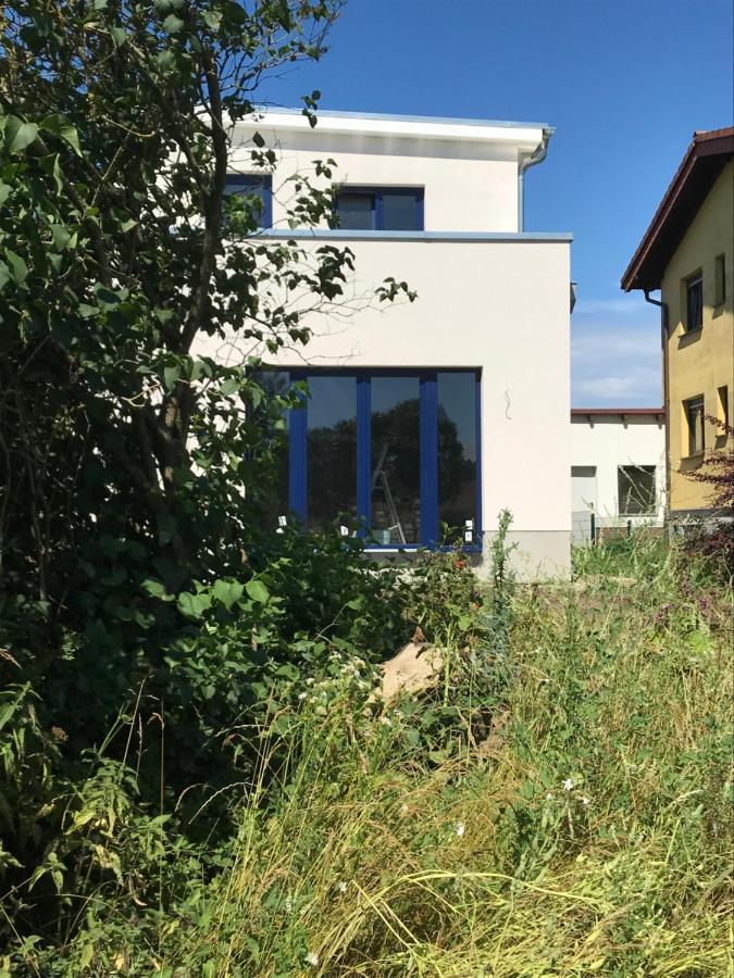 Hof Uhleck Am Koenigsstuhl Apartment Lohme Exterior foto